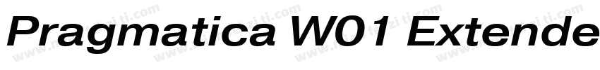 Pragmatica W01 Extended Med字体转换